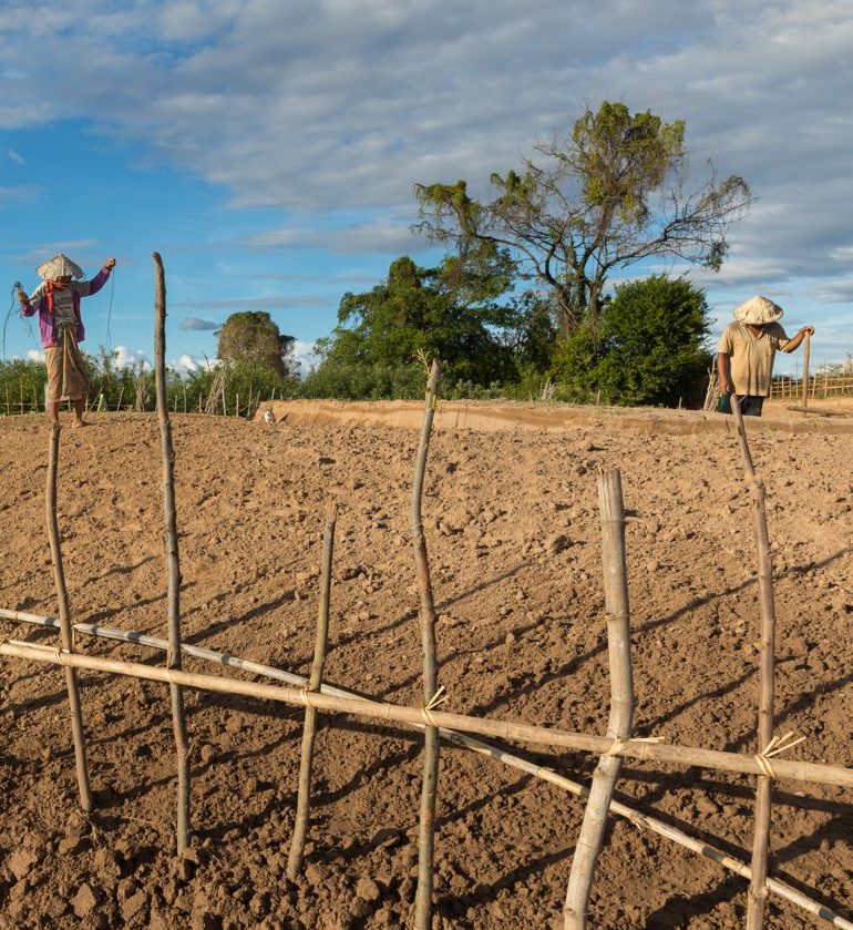 Ranch-style fencing on open ground