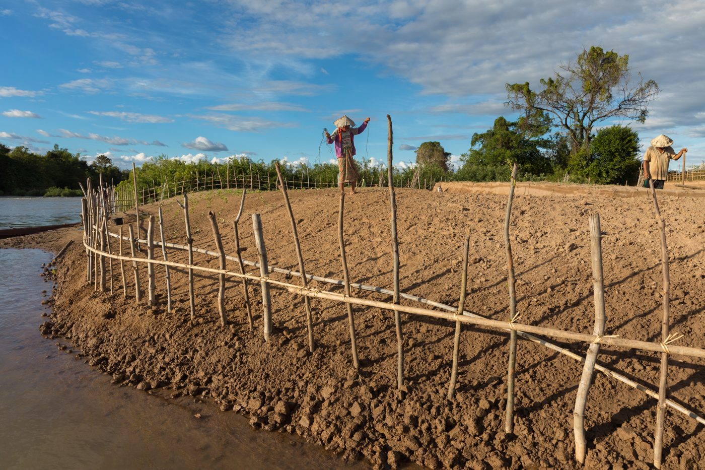 Wood fencing along a yard